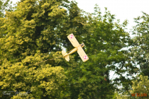DSC_7631