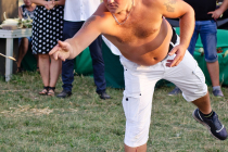 DSC_3254