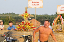 DSC_3296