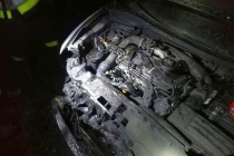 IMG-20190328-WA0001