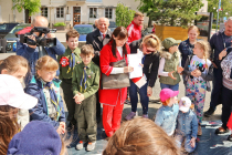 IMG_8690