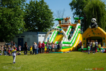 IMG_6529