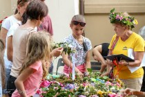 IMG_3126