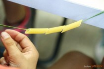 IMG_4355