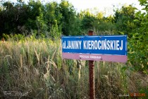 IMG_6771