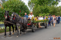 IMG_7551