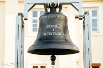 IMG_4302