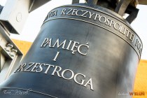 IMG_4305
