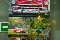 IMG_8484