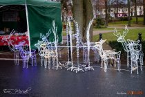 IMG_3934