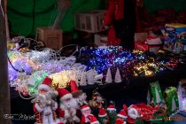 IMG_3941