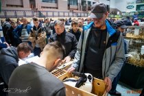 IMG_8092