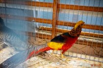 IMG_8133