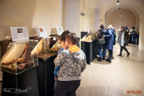 IMG_9260
