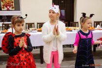 IMG_8977
