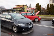 IMG_2239
