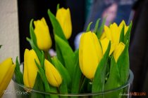 IMG_7084