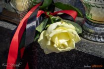 IMG_7535
