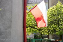 IMG_7882