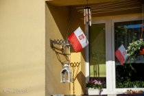 IMG_7890