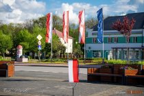 IMG_7993