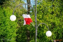 IMG_8003