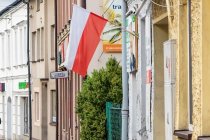 IMG_8081
