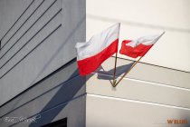 IMG_8142