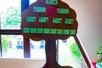 IMG_8163