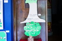 IMG_8165