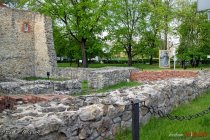 IMG_8316