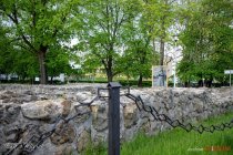 IMG_8317