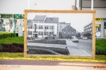 IMG_8331