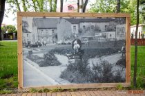 IMG_8335