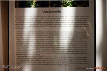 IMG_4161