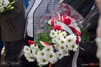 IMG_4265