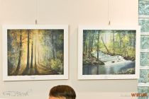 IMG_7186