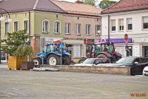 IMG_7549