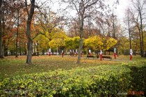 IMG_9230
