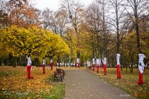 IMG_9236