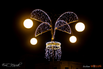 IMG_0192