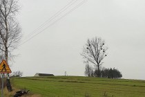 131929095_415961016216445_7573936991717448136_n
