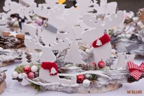 IMG_0861