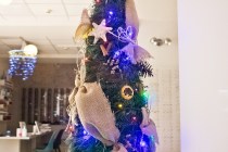 IMG_0221