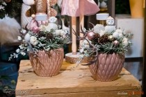 IMG_0248