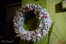 IMG_0259