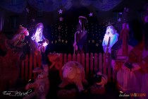 IMG_0564
