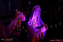 IMG_0567