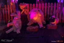 IMG_0570