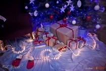 IMG_0575